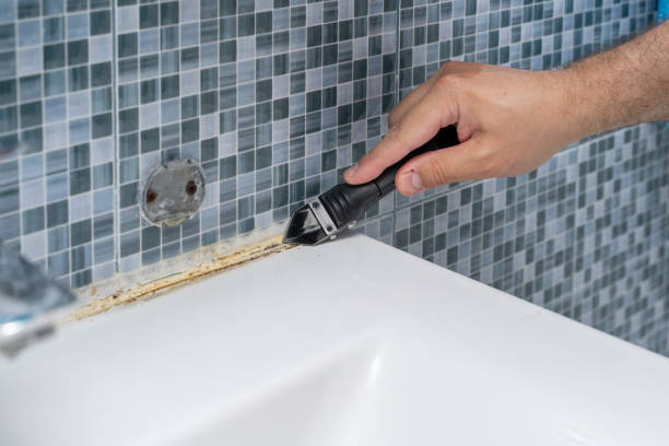 Best Local Mold Removal Service  in Hawthorn Woods, IL